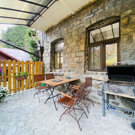 סינאיה Apartment Carol Private Yard With Barbeque And Parking מראה חיצוני תמונה