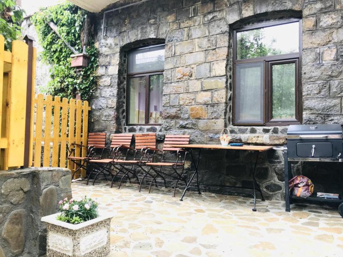 סינאיה Apartment Carol Private Yard With Barbeque And Parking מראה חיצוני תמונה