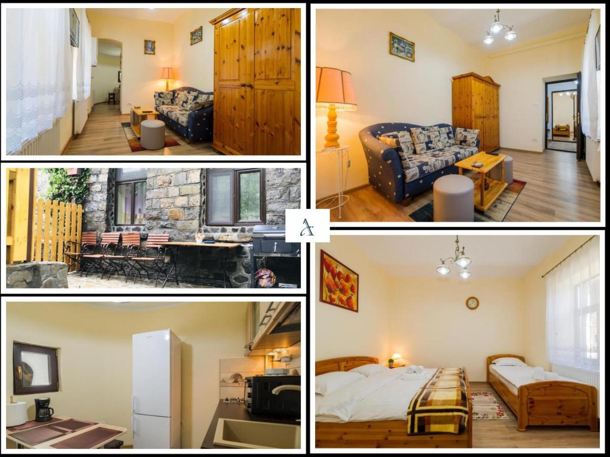 סינאיה Apartment Carol Private Yard With Barbeque And Parking מראה חיצוני תמונה