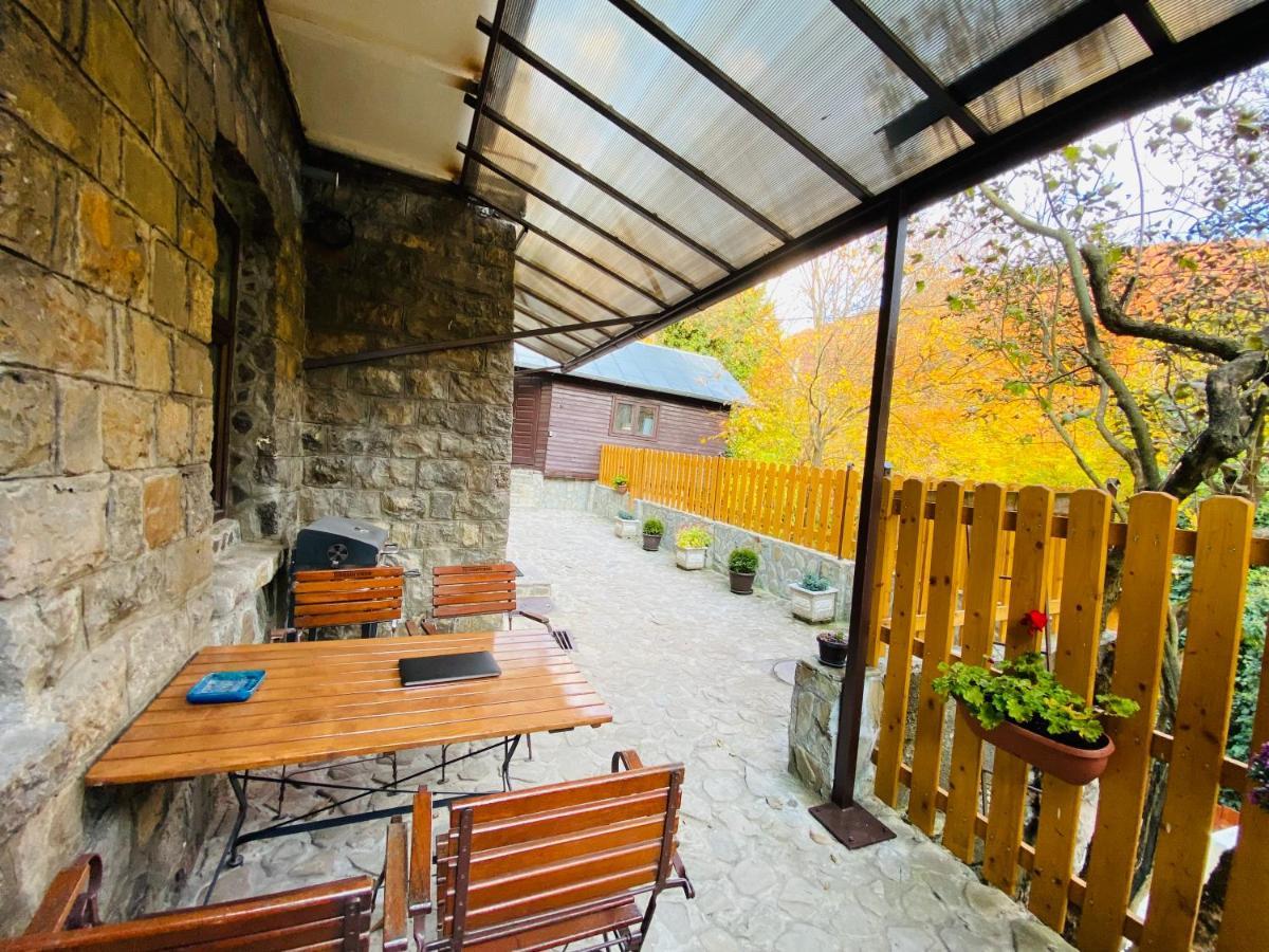 סינאיה Apartment Carol Private Yard With Barbeque And Parking מראה חיצוני תמונה