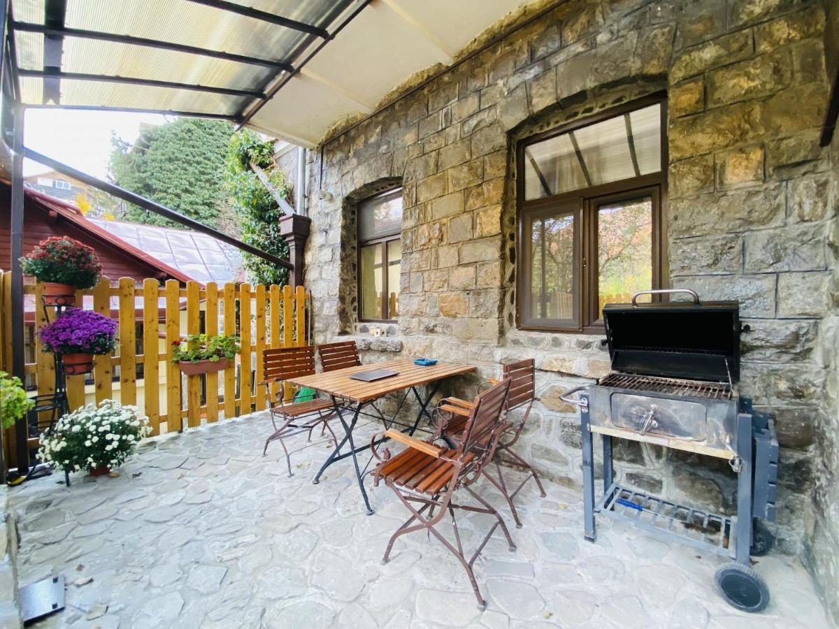 סינאיה Apartment Carol Private Yard With Barbeque And Parking מראה חיצוני תמונה