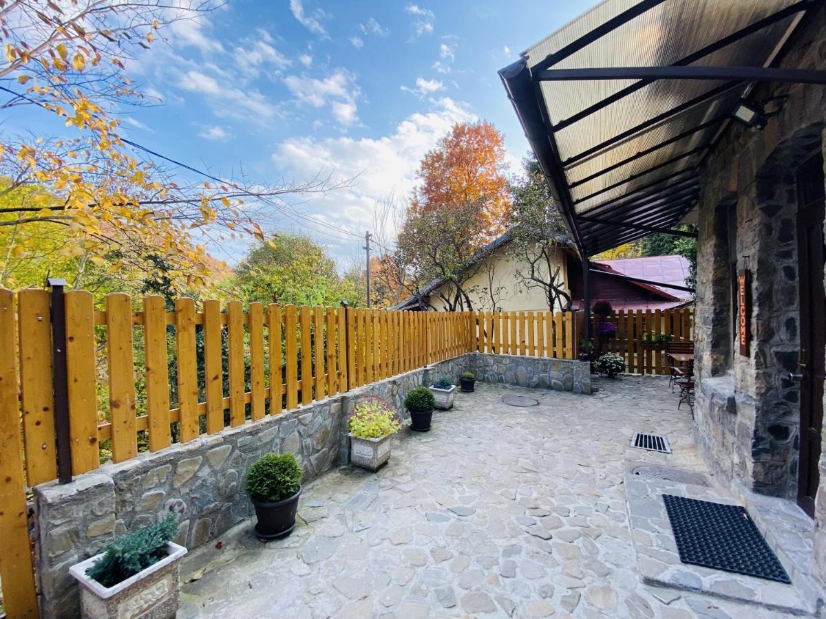 סינאיה Apartment Carol Private Yard With Barbeque And Parking מראה חיצוני תמונה
