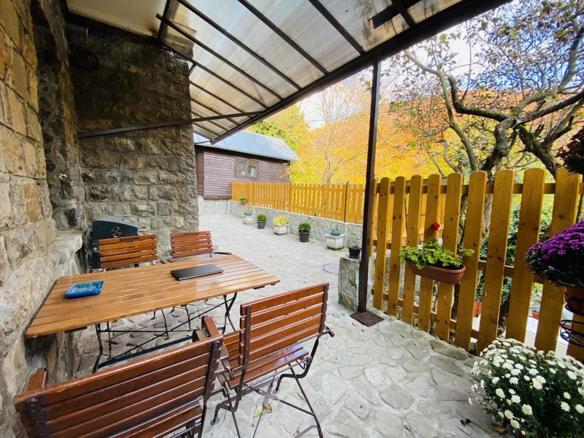 סינאיה Apartment Carol Private Yard With Barbeque And Parking מראה חיצוני תמונה