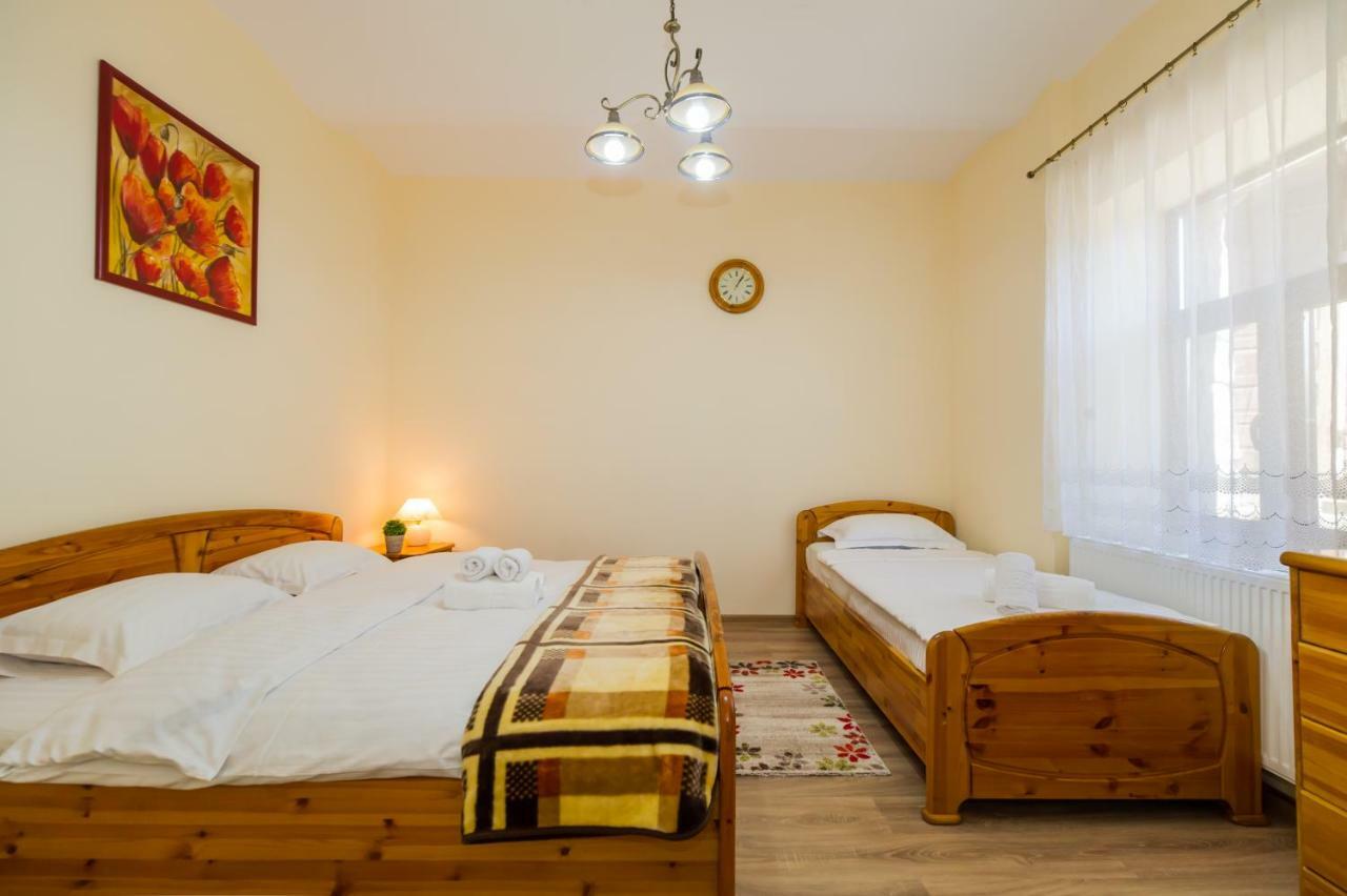 סינאיה Apartment Carol Private Yard With Barbeque And Parking מראה חיצוני תמונה