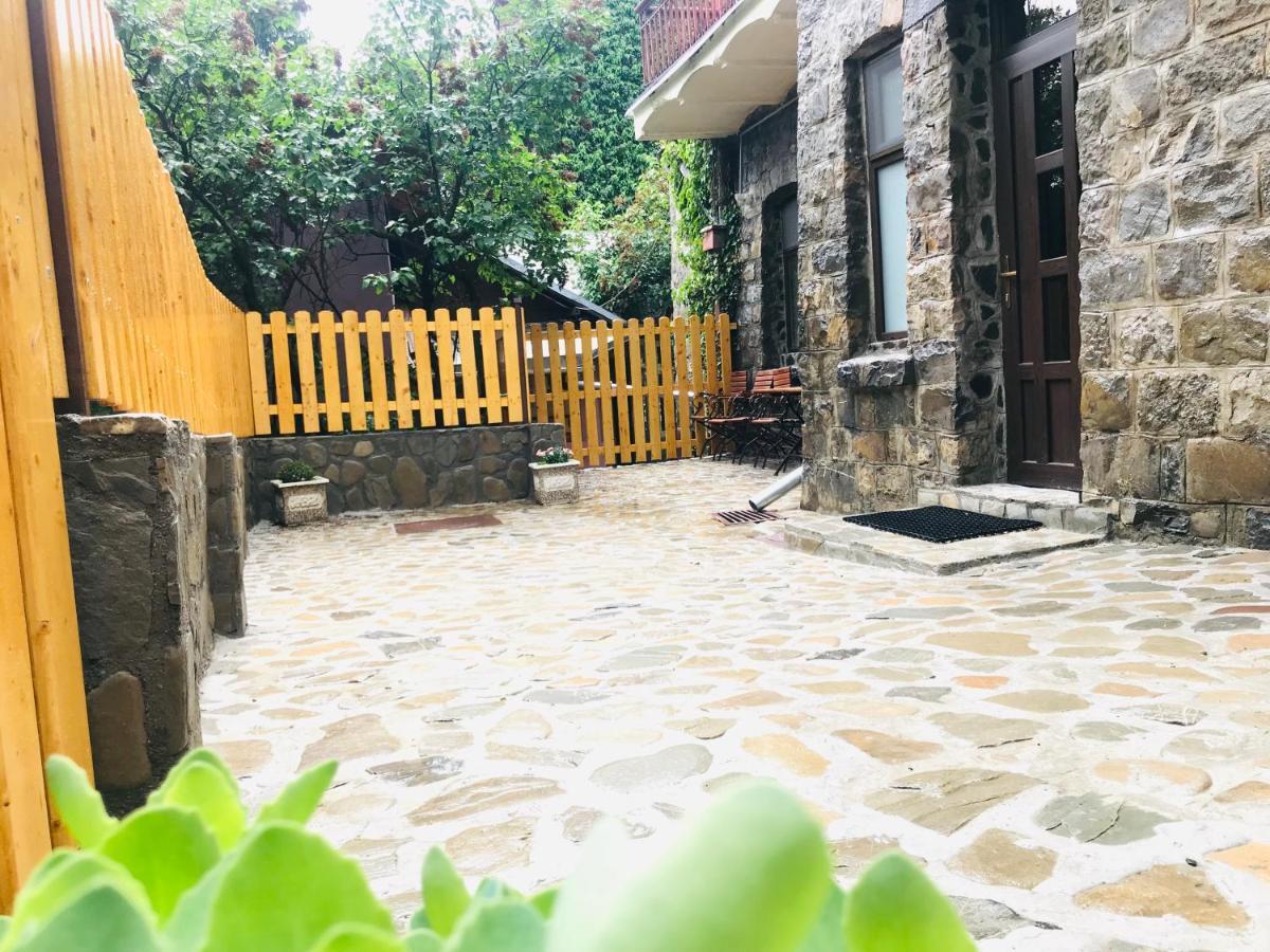 סינאיה Apartment Carol Private Yard With Barbeque And Parking מראה חיצוני תמונה